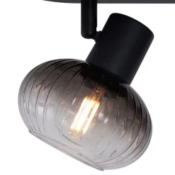 Afgeronde plafondspot zwart met smoke glas 3-lichts - Teddy