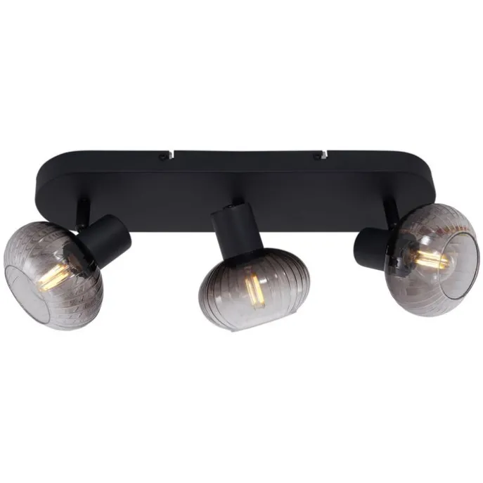 Afgeronde plafondspot zwart met smoke glas 3-lichts - Teddy