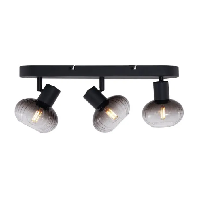 Afgeronde plafondspot zwart met smoke glas 3-lichts - Teddy