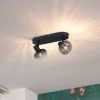 Afgeronde plafondspot zwart met smoke glas 2-lichts - Teddy