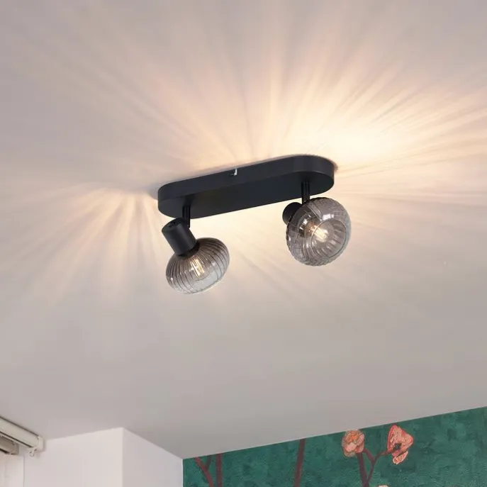 Afgeronde plafondspot zwart met smoke glas 2-lichts - Teddy