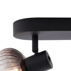 Afgeronde plafondspot zwart met smoke glas 2-lichts - Teddy