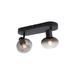 Afgeronde plafondspot zwart met smoke glas 2-lichts - Teddy