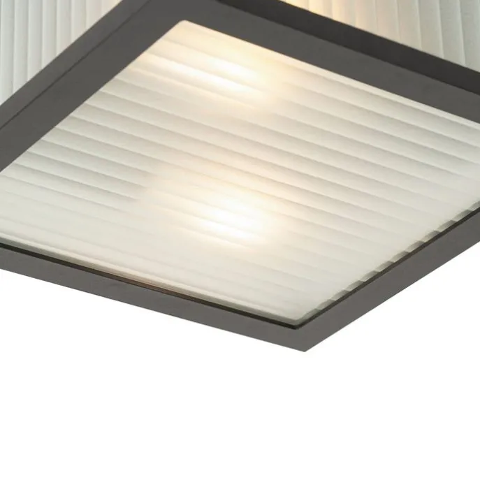 Buiten plafondlamp zwart met ribbel glas 2-lichts IP44 - Charlois