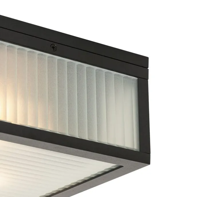 Buiten plafondlamp zwart met ribbel glas 2-lichts IP44 - Charlois
