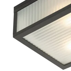 Buiten plafondlamp zwart met ribbel glas 2-lichts IP44 - Charlois
