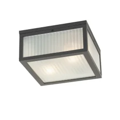 Buiten plafondlamp zwart met ribbel glas 2-lichts IP44 - Charlois
