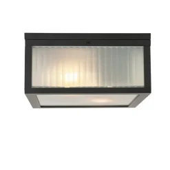 Buiten plafondlamp zwart met ribbel glas 2-lichts IP44 - Charlois