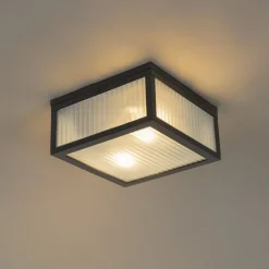 Buiten plafondlamp zwart met ribbel glas 2-lichts IP44 - Charlois