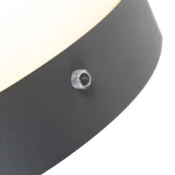 Buiten wandlamp antraciet IP44 schemersensor - Emmerald