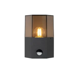 Buiten wandlamp zwart met smoke glas zeshoek en bewegingssensor - Denmark