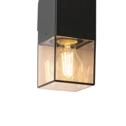 Buiten wandlamp zwart met smoke kap 2-lichts IP44 - Denmark