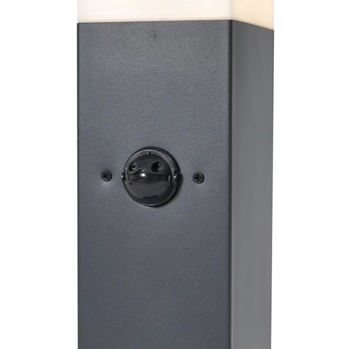 Buitenlamp donkergrijs met opaal glas 45cm IP44 met stopcontact en bewegingssensor - Malios