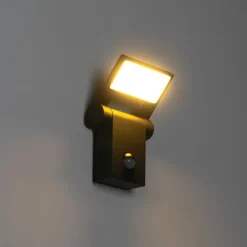 Buitenwandlamp antraciet incl. LED IP54 met bewegingssensor - Zane