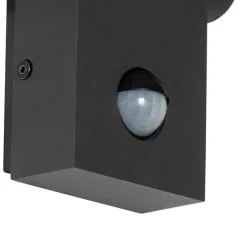 Buitenwandlamp antraciet incl. LED IP54 met bewegingssensor - Zane