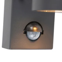 Buitenwandlamp antraciet 2-lichts IP44 met bewegingssensor - Duo