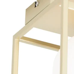 Design plafondlamp goud met wit glas 2-lichts - Aniek