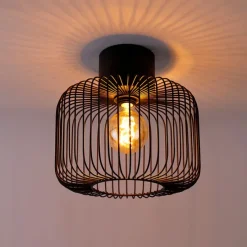Design plafondlamp zwart draad 31,5cm - Baya