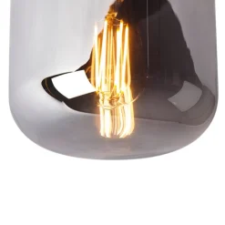 Design plafondlamp zwart met smoke glas - Bliss