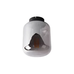 Design plafondlamp zwart met smoke glas - Bliss