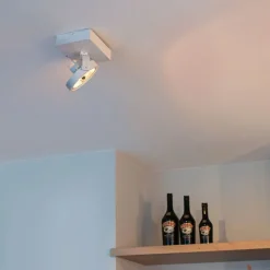 Design plafondspot wit draai- en kantelbaar - Go