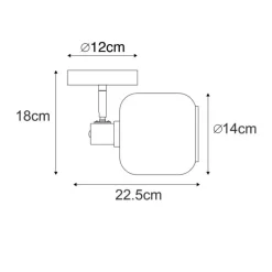Design plafondspot zwart met goud met smoke glas - Zuzanna
