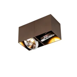 Design spot donkerbrons rechthoekig 2-lichts draai en kantelbaar - Box