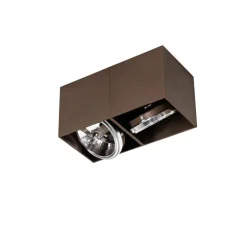 Design spot donkerbrons rechthoekig 2-lichts draai en kantelbaar - Box