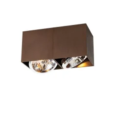 Design spot donkerbrons rechthoekig 2-lichts draai en kantelbaar - Box