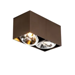 Design spot donkerbrons rechthoekig 2-lichts draai en kantelbaar - Box