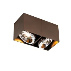 Design spot donkerbrons rechthoekig 2-lichts draai en kantelbaar - Box