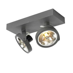 Design spot grijs verstelbaar 2-lichts - Go