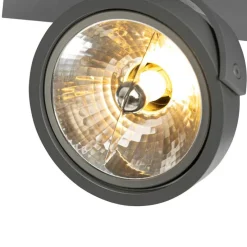 Design spot grijs verstelbaar 2-lichts - Go