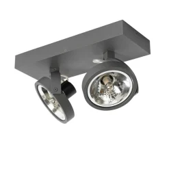 Design spot grijs verstelbaar 2-lichts - Go