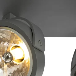 Design spot grijs verstelbaar 2-lichts - Go