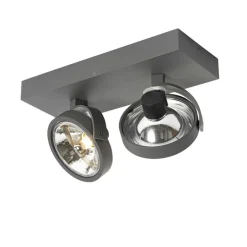 Design spot grijs verstelbaar 2-lichts - Go