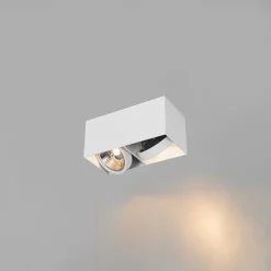 Design spot wit rechthoekig AR111 2-lichts - Box