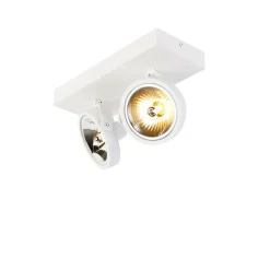 Design spot wit verstelbaar 2-lichts - Go