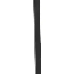 Design vloerlamp zwart met smoke glas - Qara Down