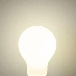 E27 dimbare LED lamp A60 opaal 7W 806 lm 4000K