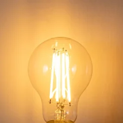 E27 dimbare LED lamp A60 6W 500 lm 2200K