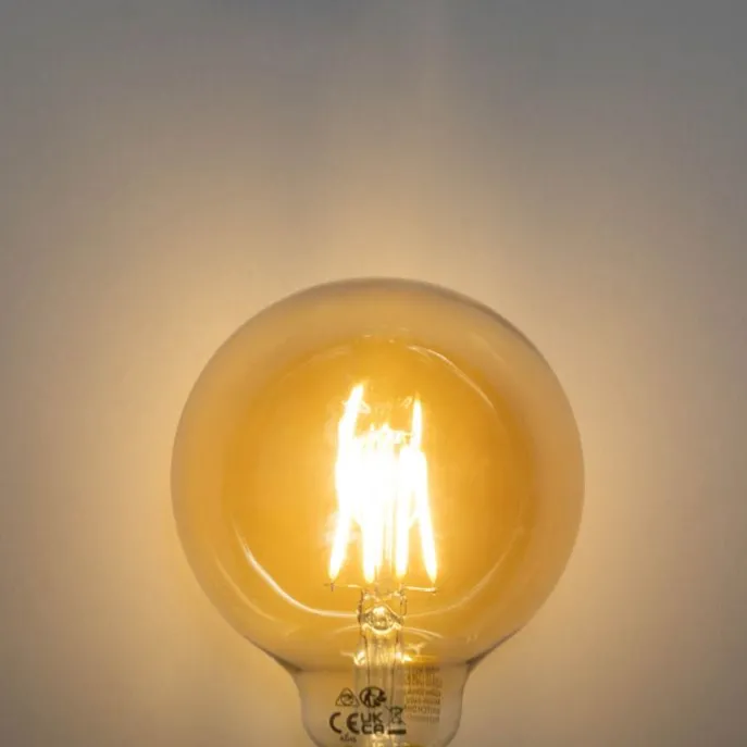 E27 dimbare LED lamp G95 5W 450 lm 2700K