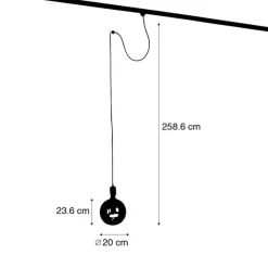 Hanglamp met rail ophanging zwart incl. LED G200 - Cavalux