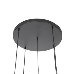 Hanglamp zwart met goud met smoke glas 5-lichts - Zuzanna