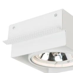Inbouwspot wit AR111 draai- en kantelbaar trimless - Oneon