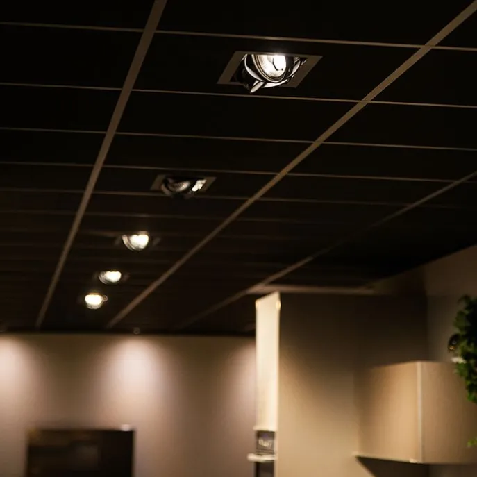 Inbouwspot zwart AR111 verstelbaar 2-lichts - Oneon