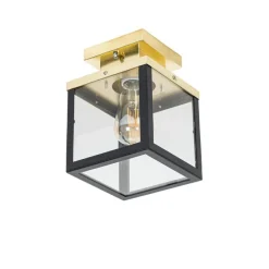 Industriële buiten plafondlamp zwart met goud - Rotterdam