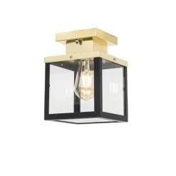 Industriële buiten plafondlamp zwart met goud - Rotterdam