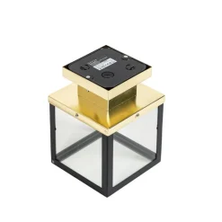 Industriële buiten plafondlamp zwart met goud - Rotterdam