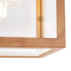 Industriële buitenplafondlamp hout met helder glas - Rotterdam